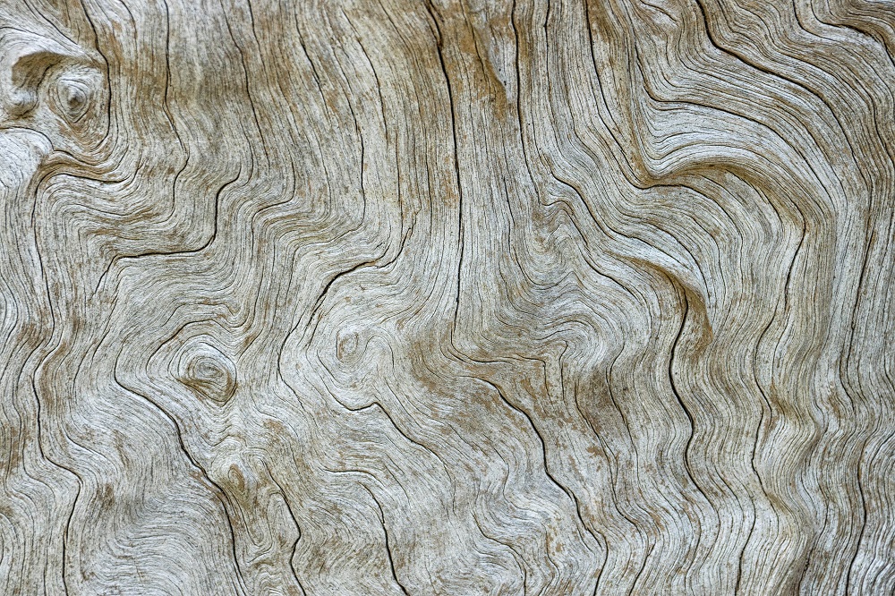 fiber of dutch teak wood